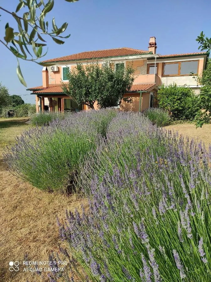 House Kras Villa Dobrinj